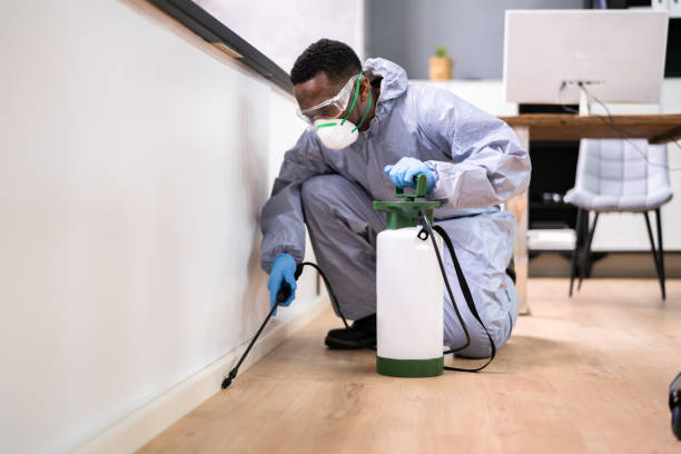 Professional Pest control in Brisbane, CA